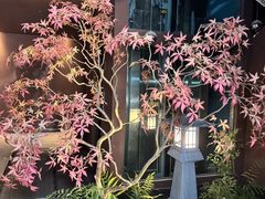 -椿杨樘·明康泡浴养生馆(重庆店)