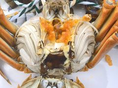 -蟹天蟹地农家菜·阳澄湖大闸蟹(浅水湾店)