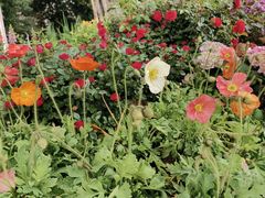 -人民公园(罗湖区)