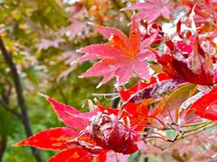 -苏州河梦清园环保主题公园