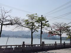 -西江渔村