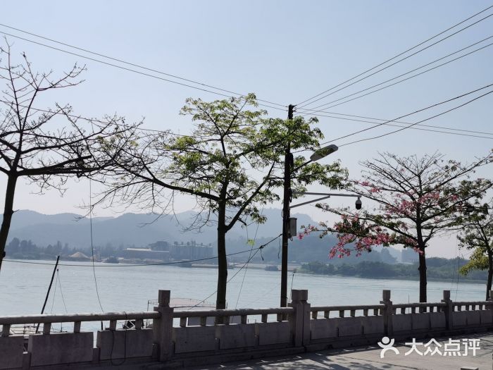 西江渔村图片