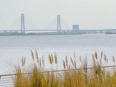 -南沙蒲洲花园