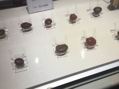 -许家山