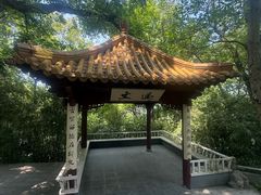 -北极阁公园