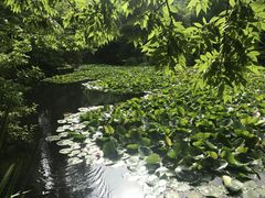 -北海道厅旧本厅舍(旧本庁舎)