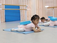 -红舞鞋舞蹈教育(近江校区)