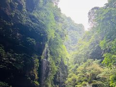 -碧峰峡风景区