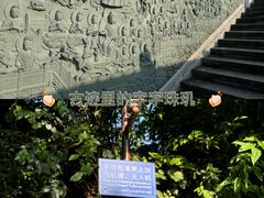 -深圳仙湖植物园