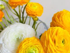 -盒马鲜生(龙德广场店)