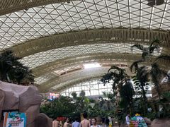 -杭州开元森泊度假乐园