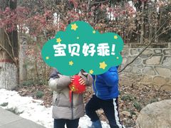 -西安关中民俗艺术博物院