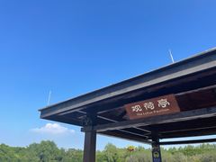 -大湾区中央湿地公园