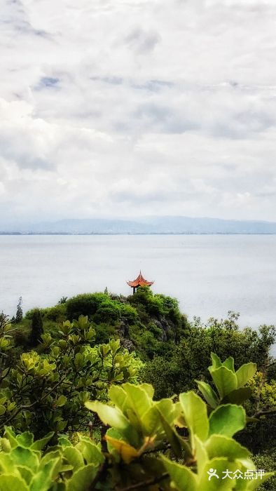 撫仙湖祿充風景區圖片