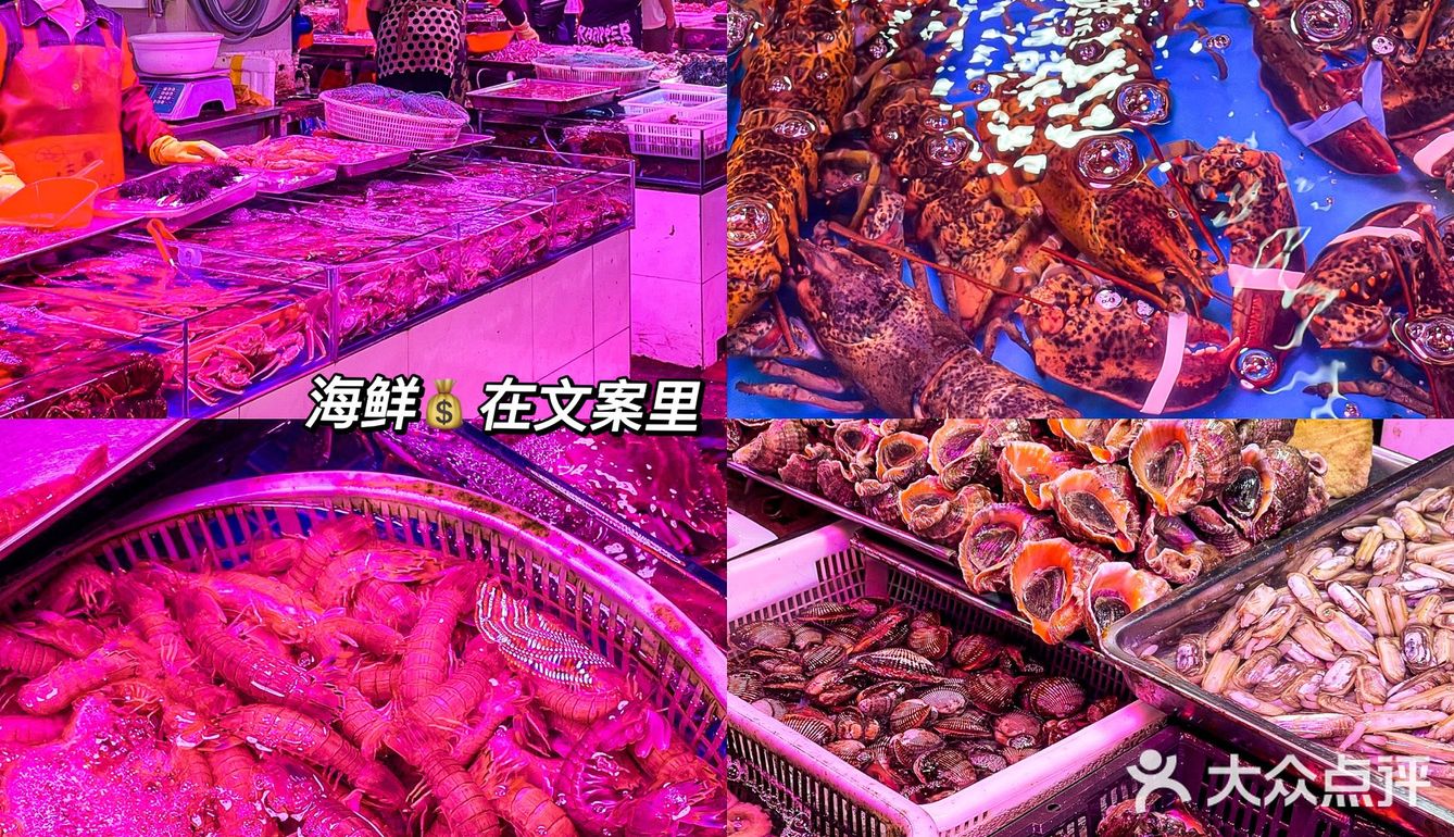 青岛本地人私藏的啤酒屋‼️360°无死角监控后厨！