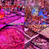 青岛本地人私藏的啤酒屋‼️360°无死角监控后厨！