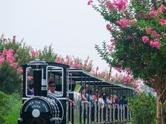 -武汉紫薇都市田园