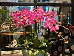 -狮拾久·现代新加坡料理(壹方城店)