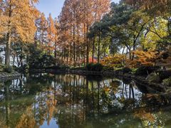 -浙江西子宾馆·瑶园咖啡厅