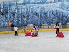 -世界之窗阿尔卑斯冰雪世界