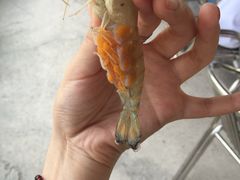 -小象钓虾·营地烧烤(洛溪店)
