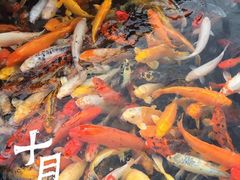 -天兴居(大兴店)