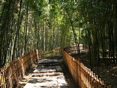 -乌镇东栅景区