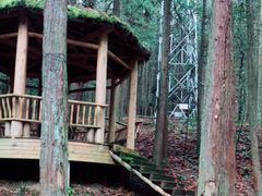 -武陵山森林公园