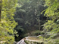 -牛背梁国家森林公园