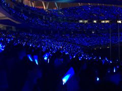 -南京奥林匹克体育中心-体育馆