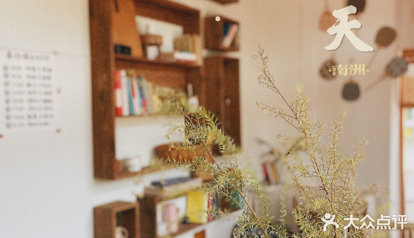 海珠｜森系治愈咖啡馆·南洲的慵懒情调🍃