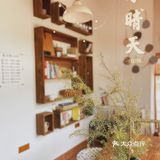 海珠｜森系治愈咖啡馆·南洲的慵懒情调🍃