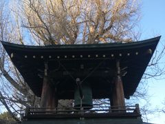 -医王山·飞騨国分寺