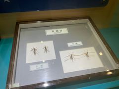 -上海昆虫博物馆