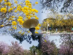 -广州市白云山风景名胜区