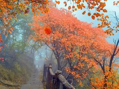 -秦岭终南山世界地质公园翠华山景区
