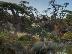 -罗红摄影艺术馆