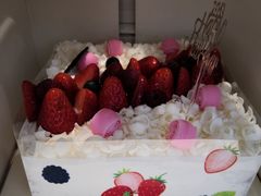 -多乐之日(田林东路店)