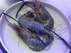 -澜悦港海鲜体验主题餐厅