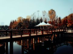 -丁家河公园