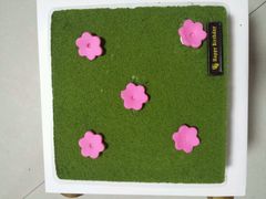 -皇家美孚(保定路店)