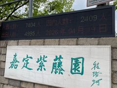-嘉定紫藤园