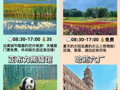 -帽儿山风景区