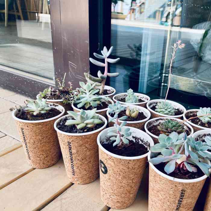 darkbrowncoffee(乐多港万达店)-"第一次来乐多港,打开大众点评就看到