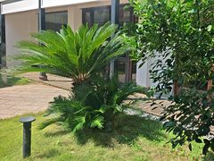 -柴米油盐(土菜院子店)