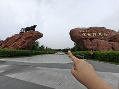 -黑瞎子岛探秘野熊园