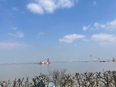 -上海滨江森林公园