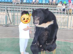 -东方熊牧场