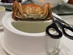 -西湖春天•老字号杭州菜(百汇店)