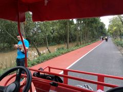 -上海长兴岛郊野公园